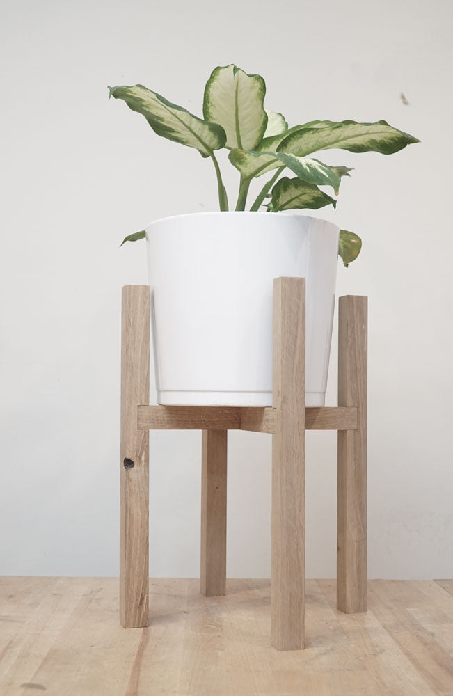 Mid-Century Plant Stand (April 13th & 27th) with Shawn Bell